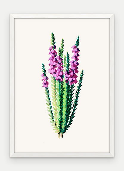 Plakat Wrzos w ramie, oprawa: drewno białe, format 50 × 70 cm