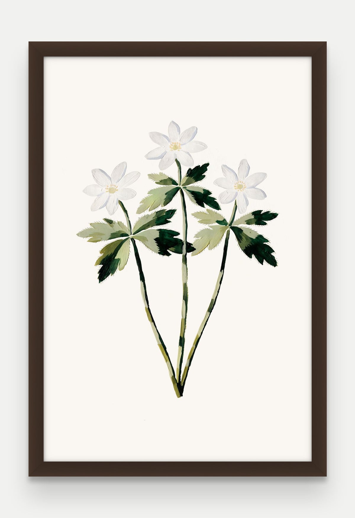 Obraz na płótnie Zawilec gajowy w ramie, oprawa: drewno brązowe, format 40 × 60 cm